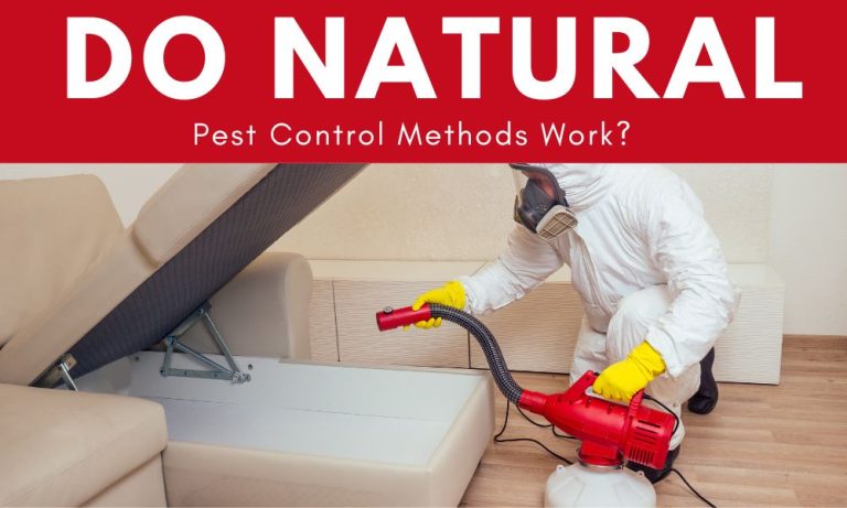 Do Natural Pest Control Methods Work?